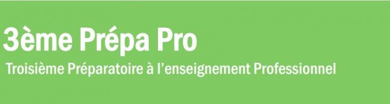 Quelle Moyenne Pour Aller En 3ème Prépa Pro Troisième Prépa Pro